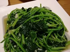 清炒红薯叶-泡椒食堂