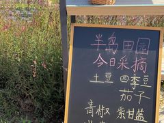 -阳澄湖半岛旅游度假区