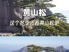 -黄山风景区