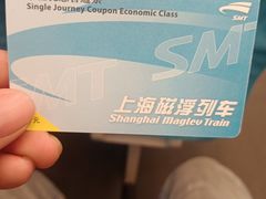 -龙阳路磁悬浮列车总站-停车场