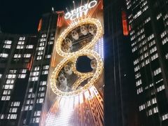 -影汇之星8字形摩天轮