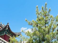 -五台山风景区