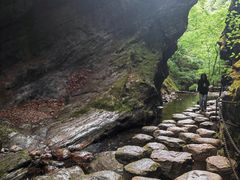 -牛背梁国家森林公园