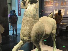 -广西壮族自治区博物馆