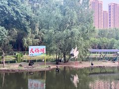 -长白岛森林公园