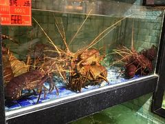 -宝宇大连海鲜渔港(金奎大厦店)