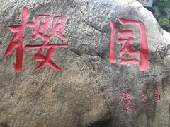 -武汉大学-樱园