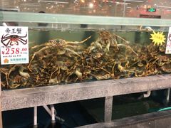 水产区-宝燕海货工场(长江国际店)
