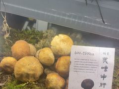 -滇野云南野生菌餐厅(陕西南路店)