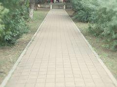 -吉林大学(南岭校区)