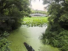 -二一九公园