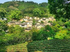 -杨家堂村
