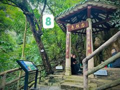-鼎湖山风景区