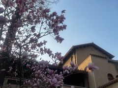 -静园(和平区)