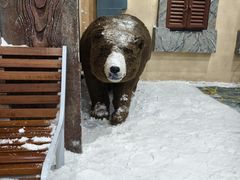 -世界之窗阿尔卑斯冰雪世界
