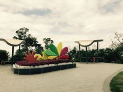 -金鸡山公园