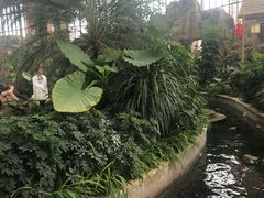 -郑州银基黄帝宫御温泉