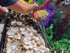 -威珀斯酒店·珀萃美食餐厅 | 海鲜刺身·现烤生蚝·特色烤肉