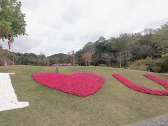 -云溪植物园