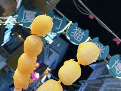 -猫咪博物馆(顶澳仔猫街店)