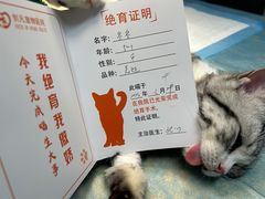 -创凡宠物医院·骨专科  猫科中心(西乡分院)