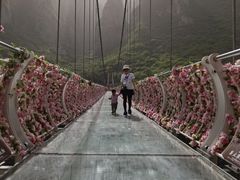 -神农山景区