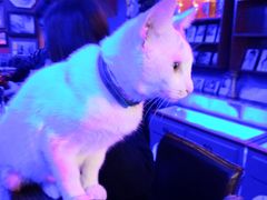 -星宿秘码(鼓浪屿老店)