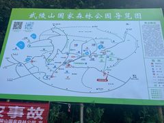 -武陵山森林公园