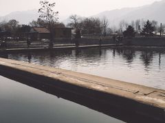-特种渔场