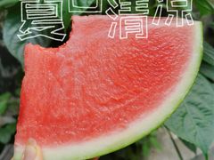 -奈雪的茶(时代天街店)