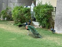 -天目湖涵田度假村