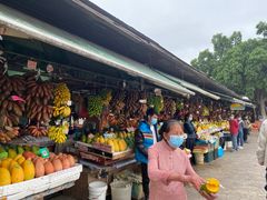 -南沙十九涌渔人码头-南门