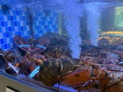 -映像威海·威海宴(威高广场店)