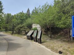 -白水寺森林公园