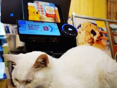 -正南齐北·老街糯米团(洪崖洞店)