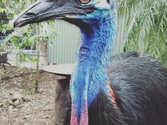 -费瑟代尔野生动物园