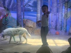 -芜湖新华联大白鲸海洋公园