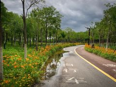 -天津东丽湖风景区