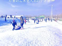 -绿野森林乐园冰雪季