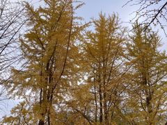 -辽宁大学(崇山校区)