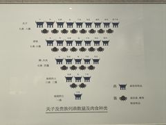 -平顶山博物馆