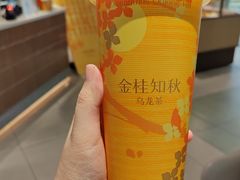 -奈雪的茶(赛格店)
