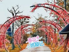-亚龙湾国际玫瑰谷