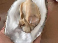 -四海鲜渔家菜(黄金海岸店)