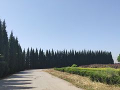 -汉景帝阳陵博物院