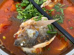 -风鑫铃罗非鱼(道沟店)