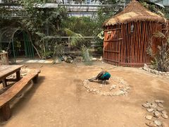 -呀路古热带植物园