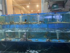 -东海章鱼馆(恒瑞街店)