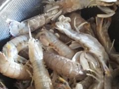 -王四营海鲜市场