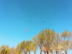 -丁香湖公园